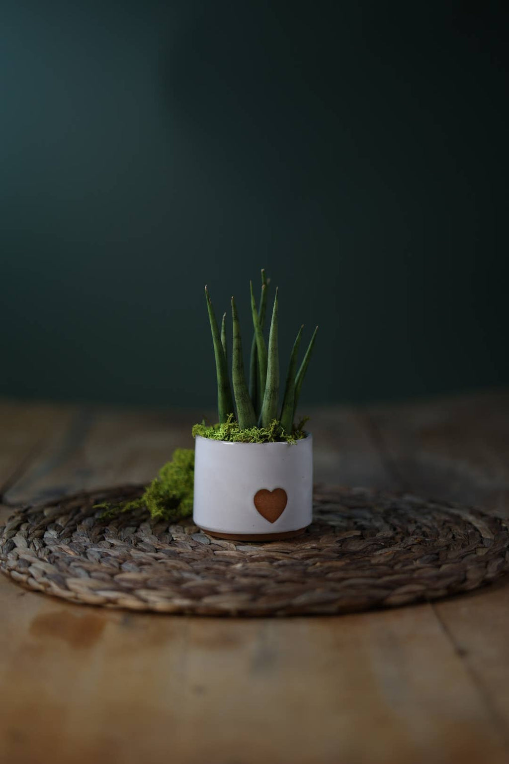 Small Minimalist Heart Planter