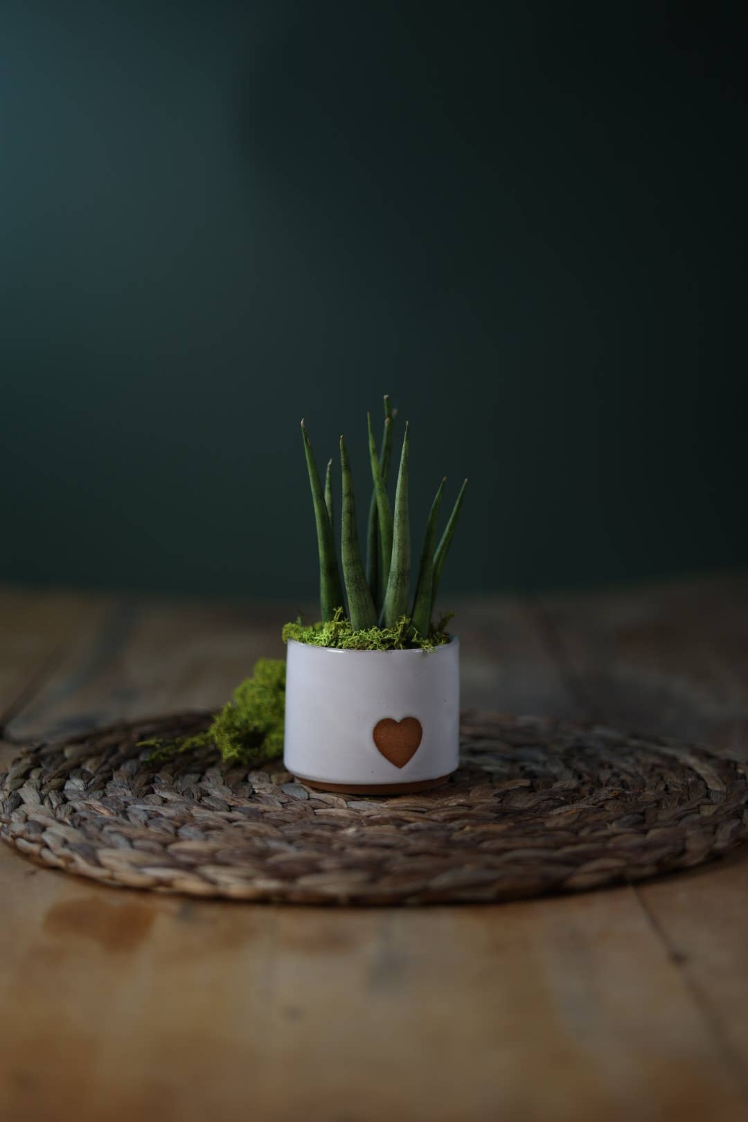 Small Minimalist Heart Planter
