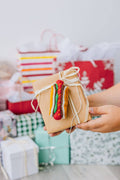 Christmas Hot Dog Felt Ornament