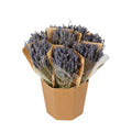 Dried Flowers - Lavender