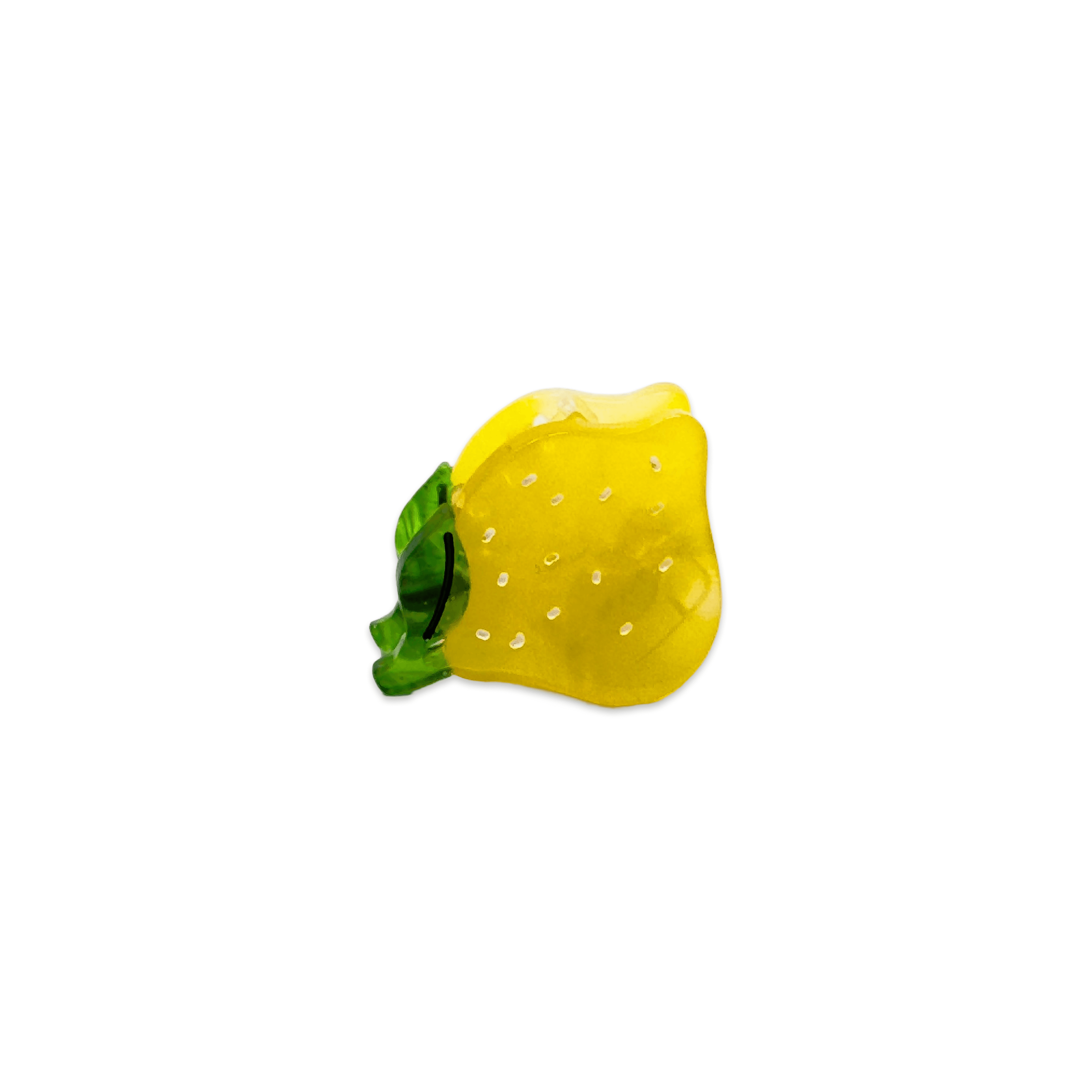 Micro Fruit and Flowers Hair Claw Clips