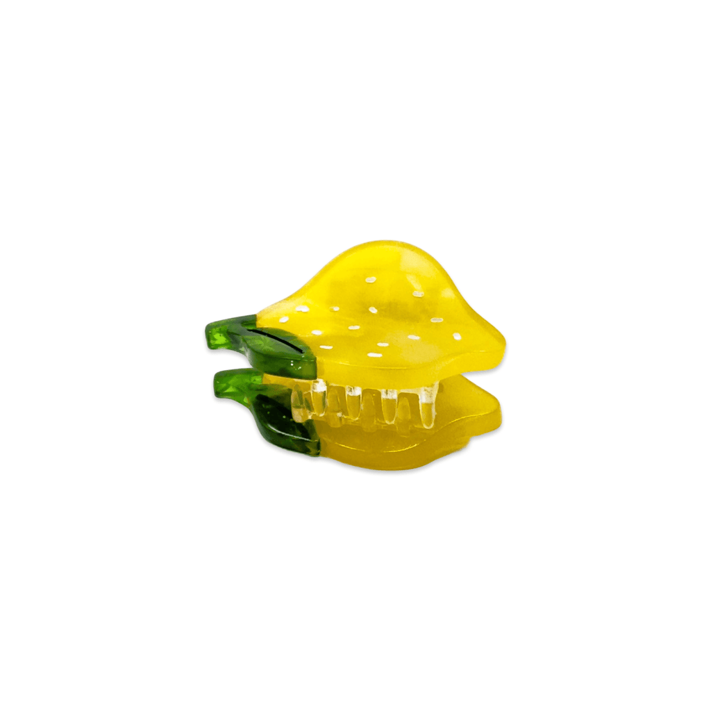 Micro Fruit and Flowers Hair Claw Clips