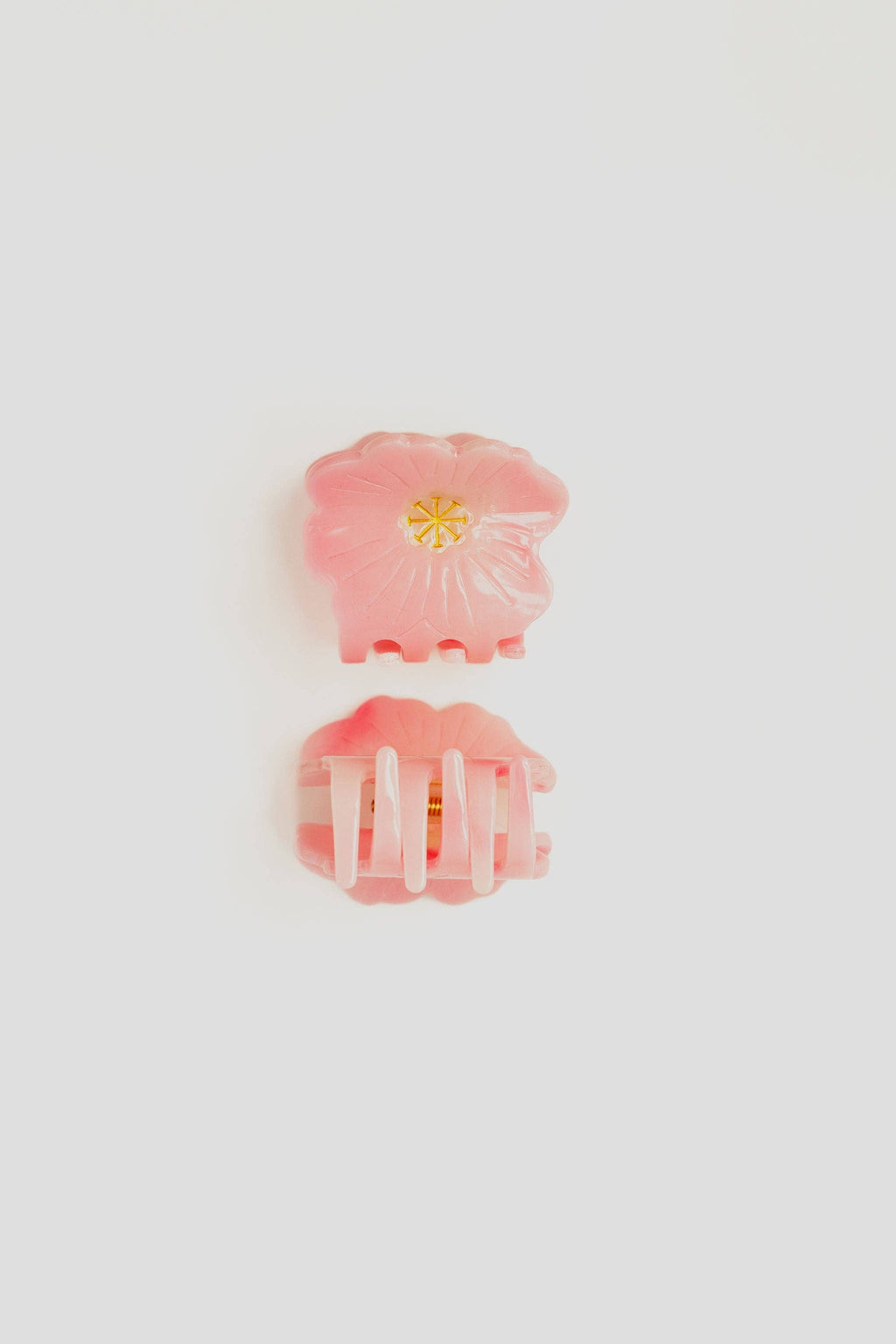 Evening Primrose Claw