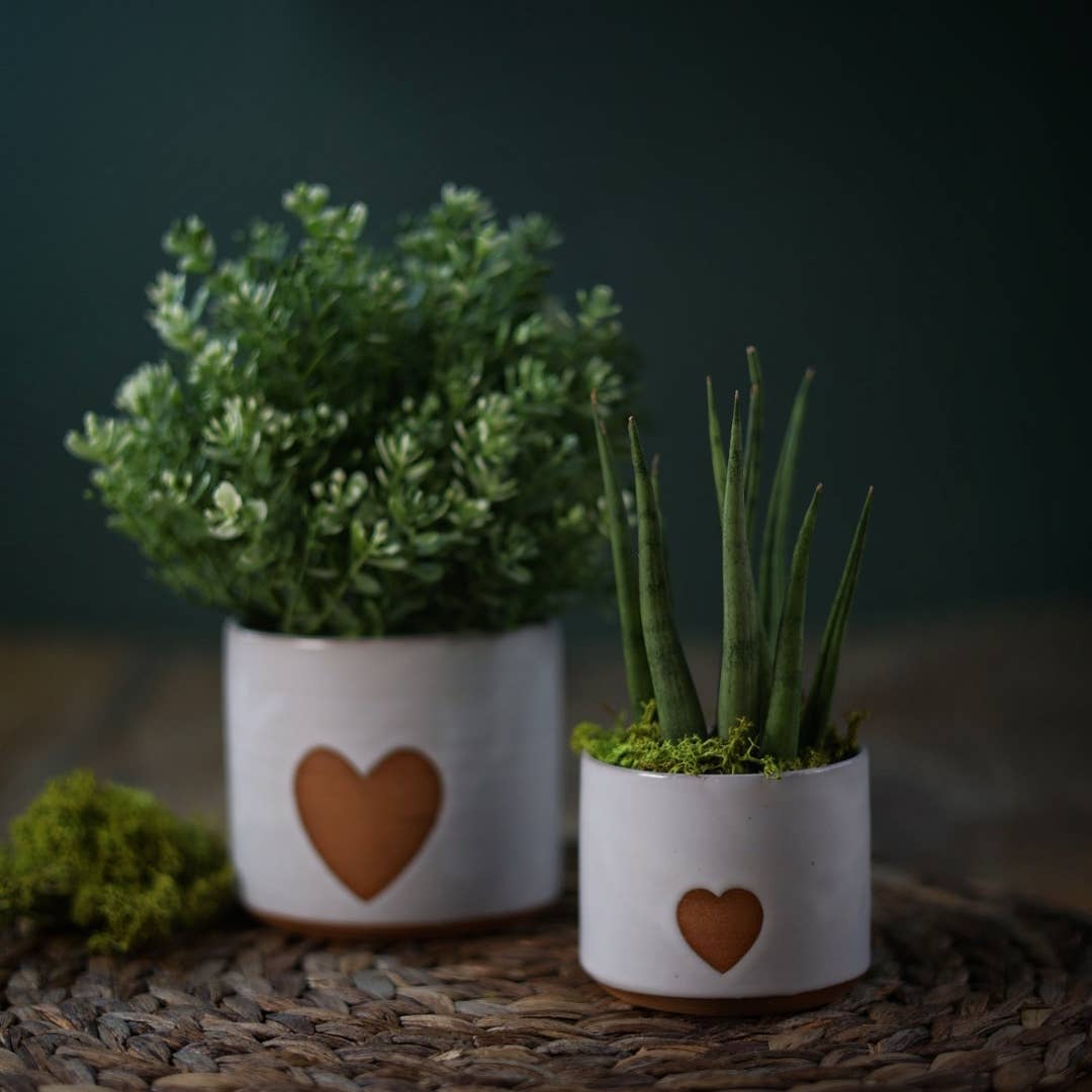 Small Minimalist Heart Planter