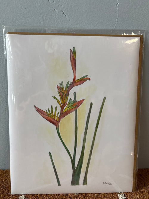 Birds of Paradise Prints