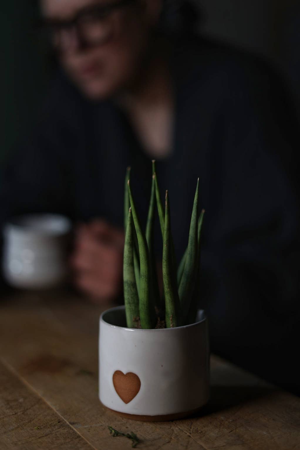 Small Minimalist Heart Planter