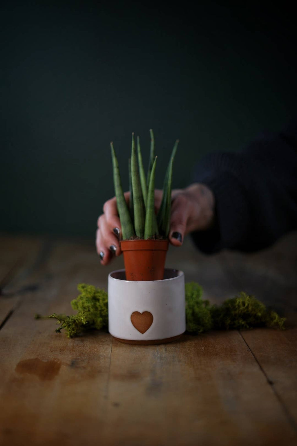 Small Minimalist Heart Planter
