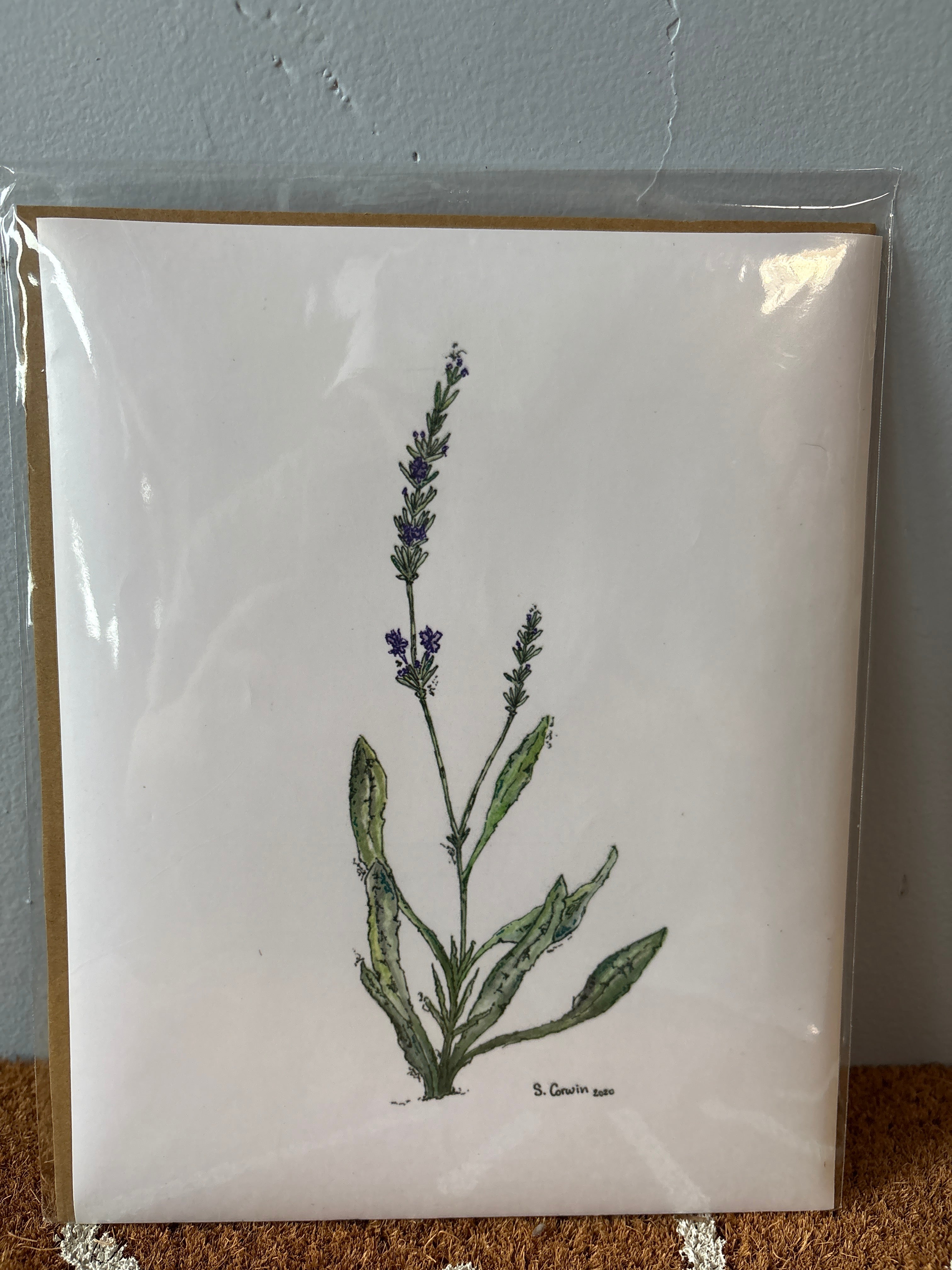 Lavender Prints