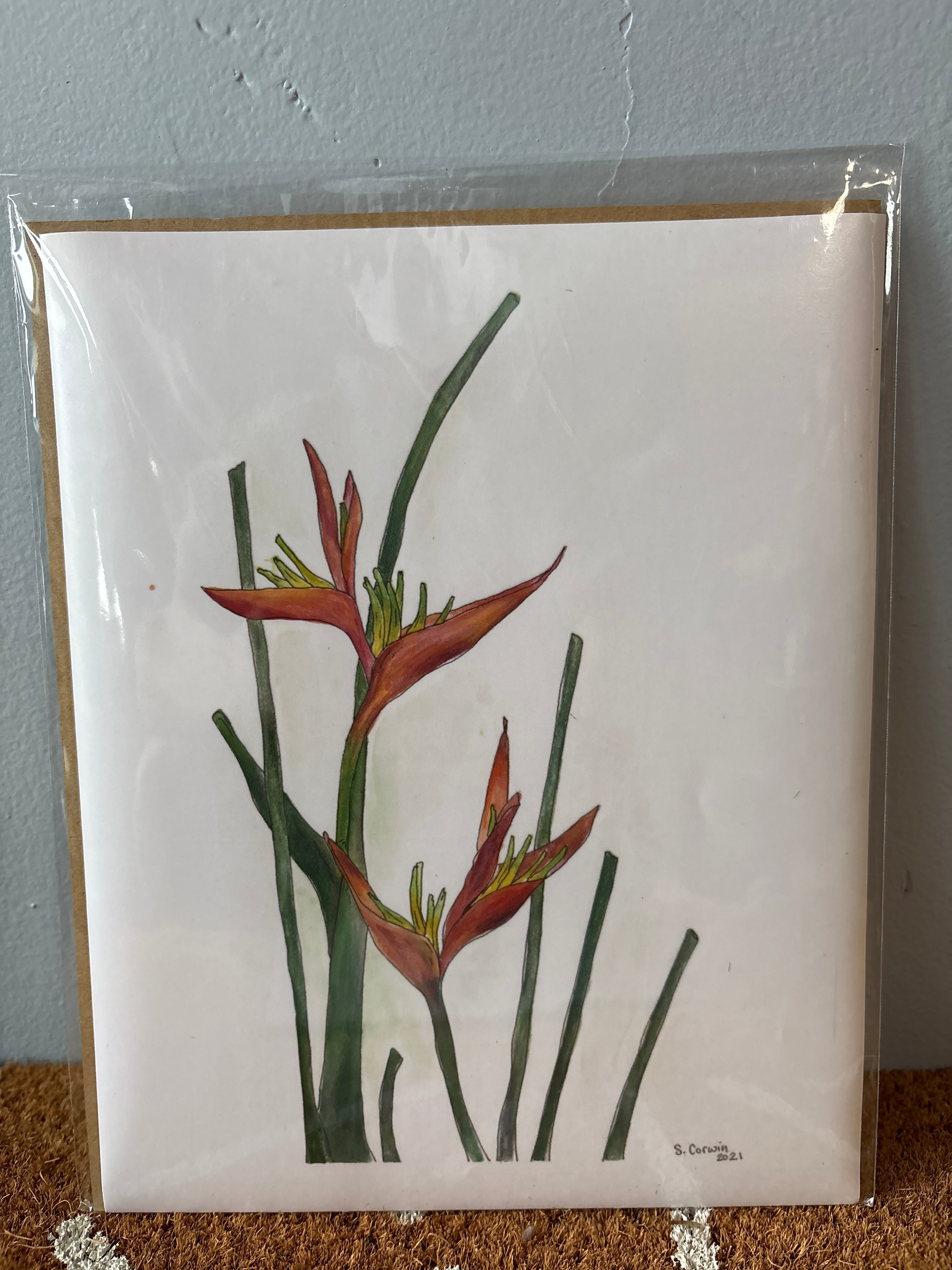 Birds of Paradise Prints