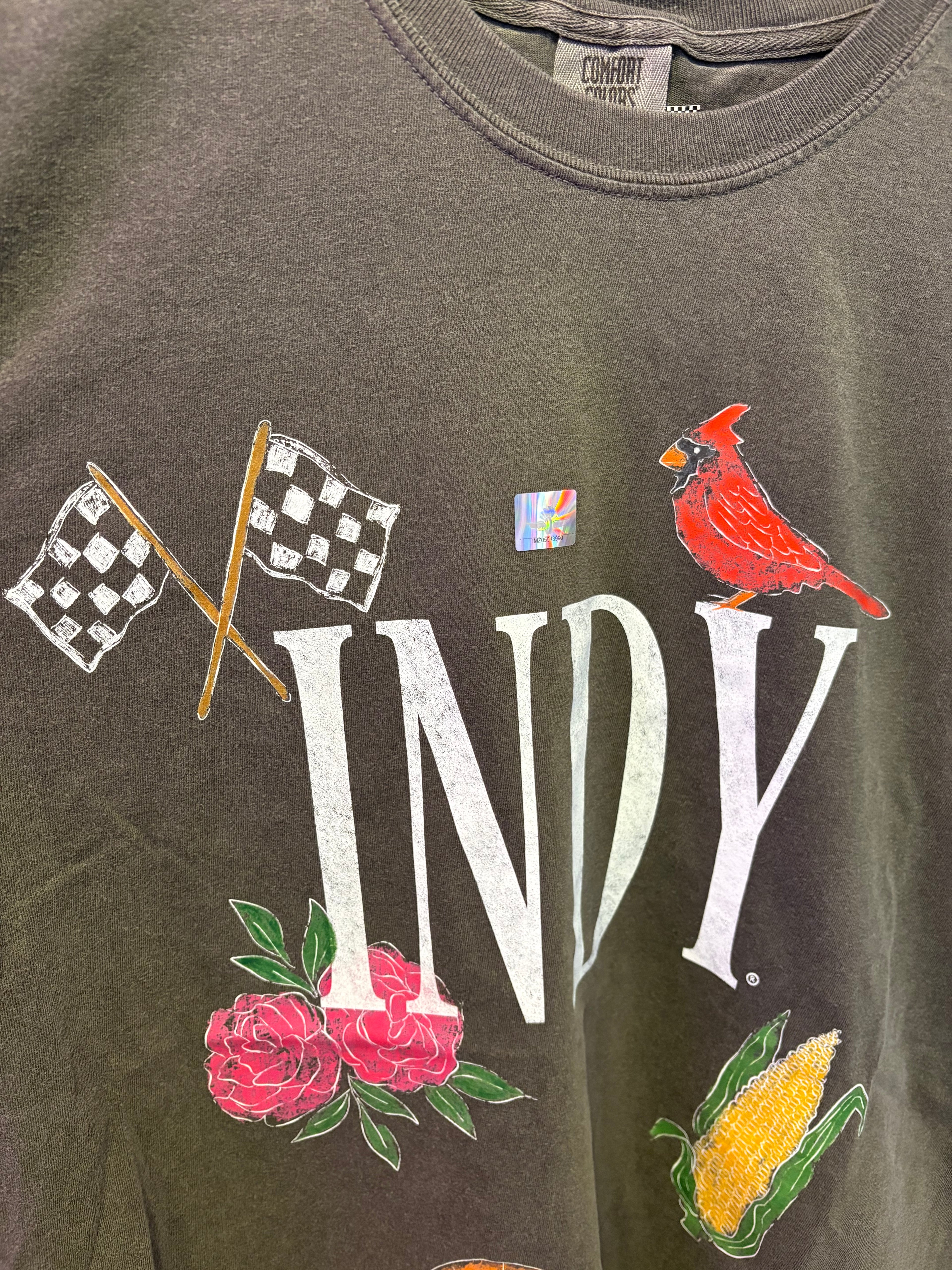 Indy Big Icons T-Shirt