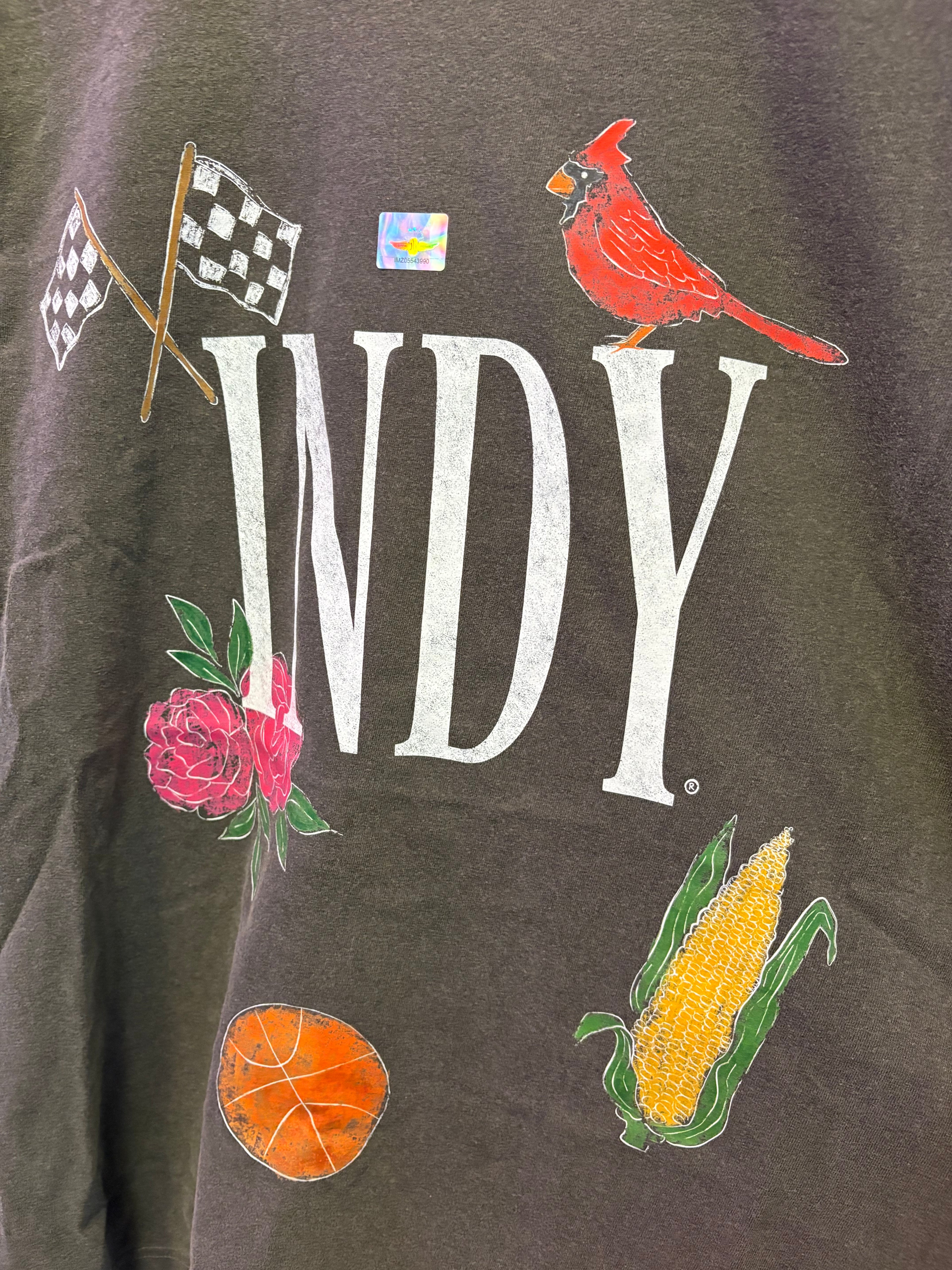Indy Big Icons T-Shirt