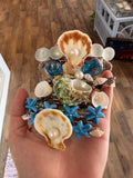 Seashell Barrette