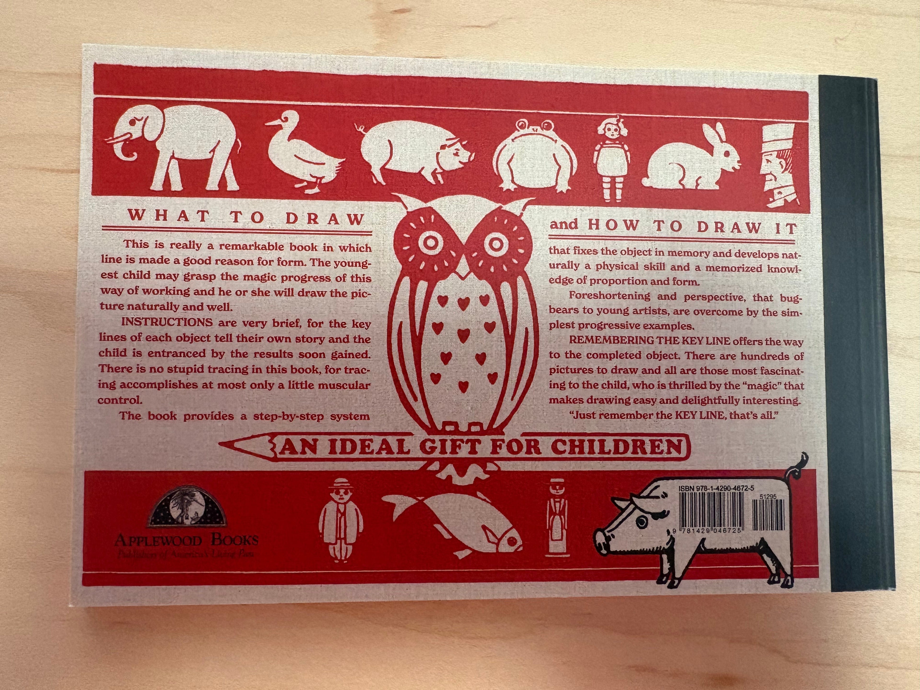 Back cover of a book with illustrations and text on a wooden surface