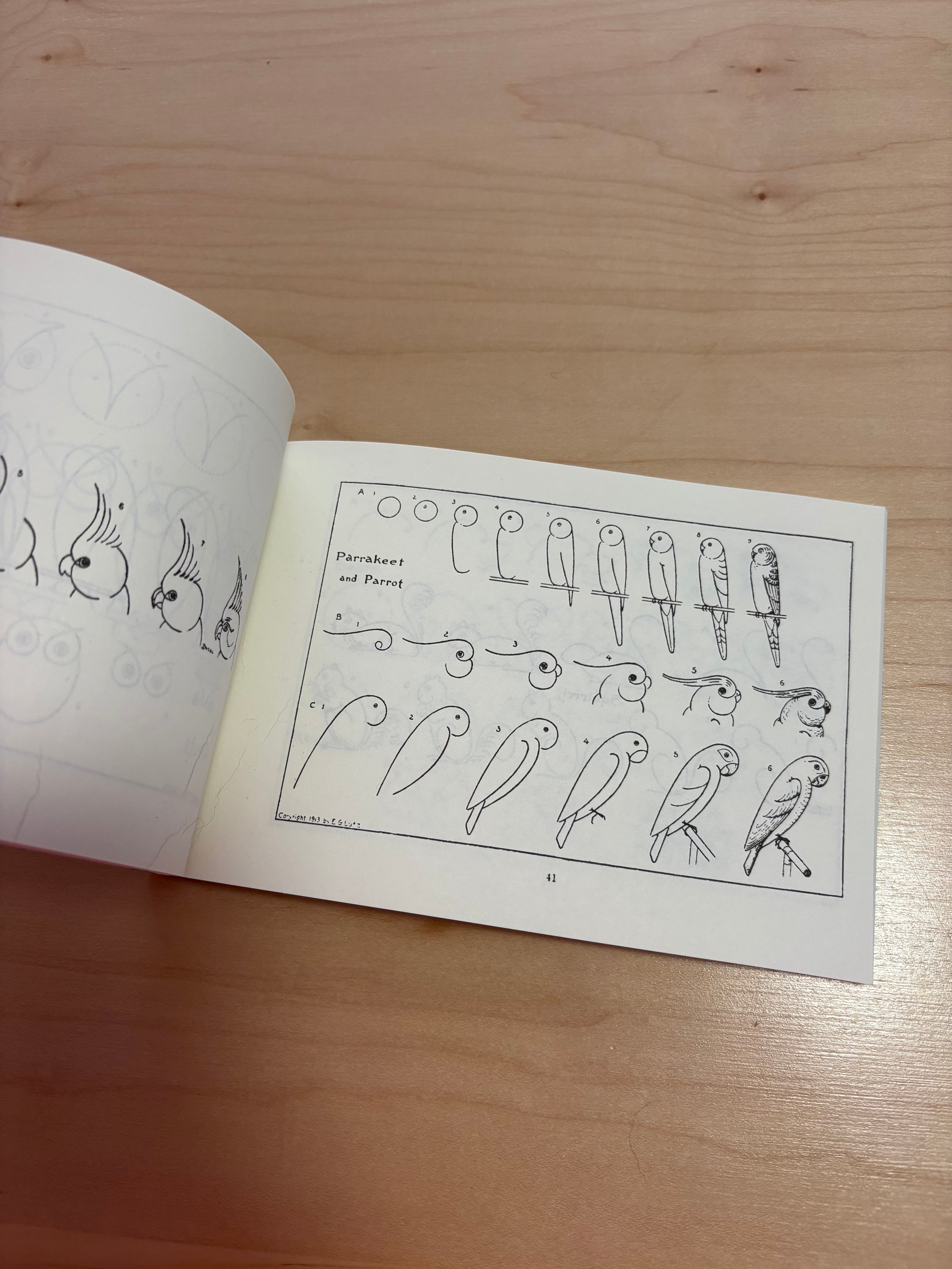 Open book with illustrations of parrots on a wooden surface