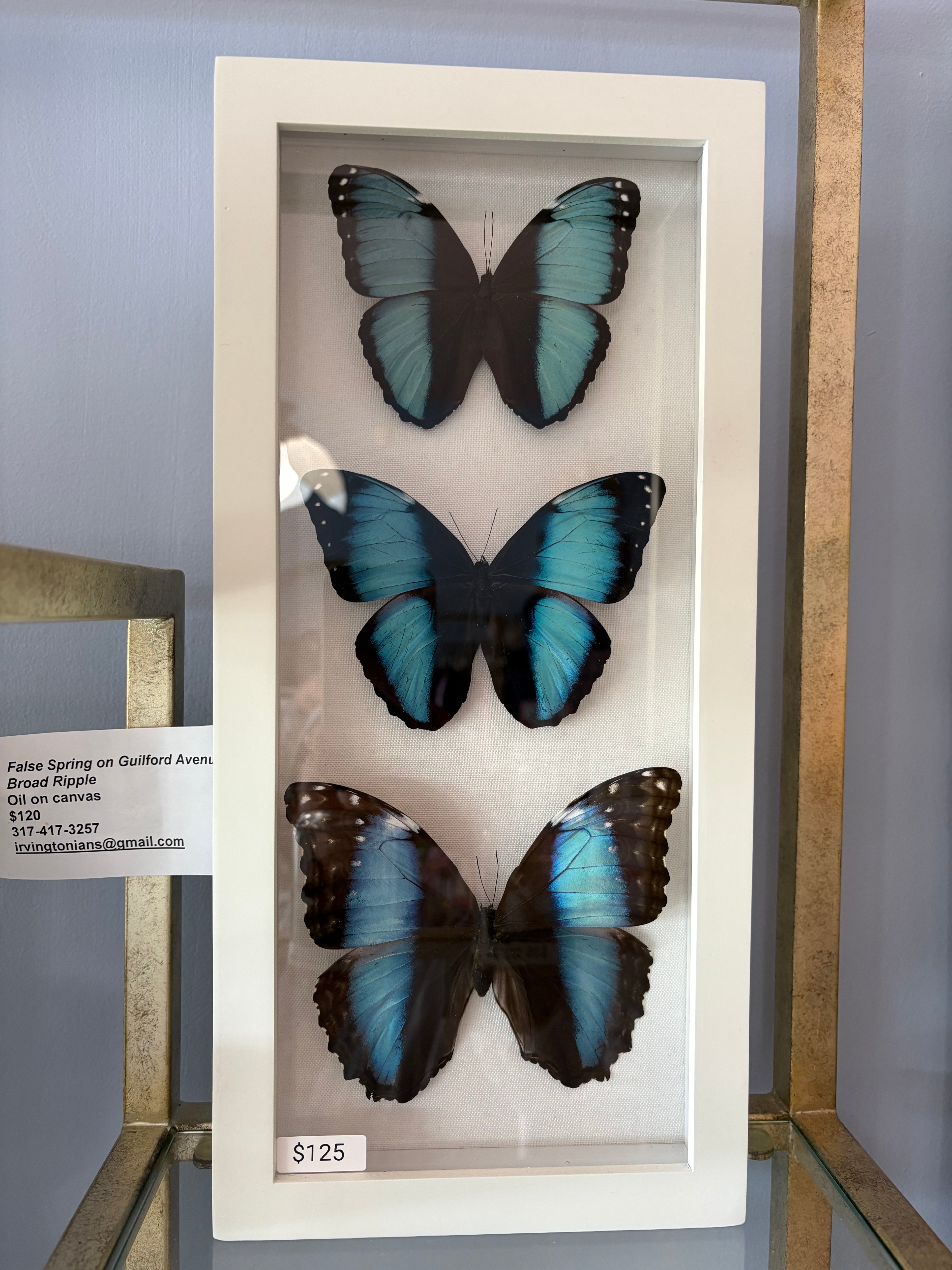 3 Blue Butterfly Frame
