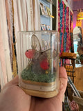 Pink Winged Moth Terrarium