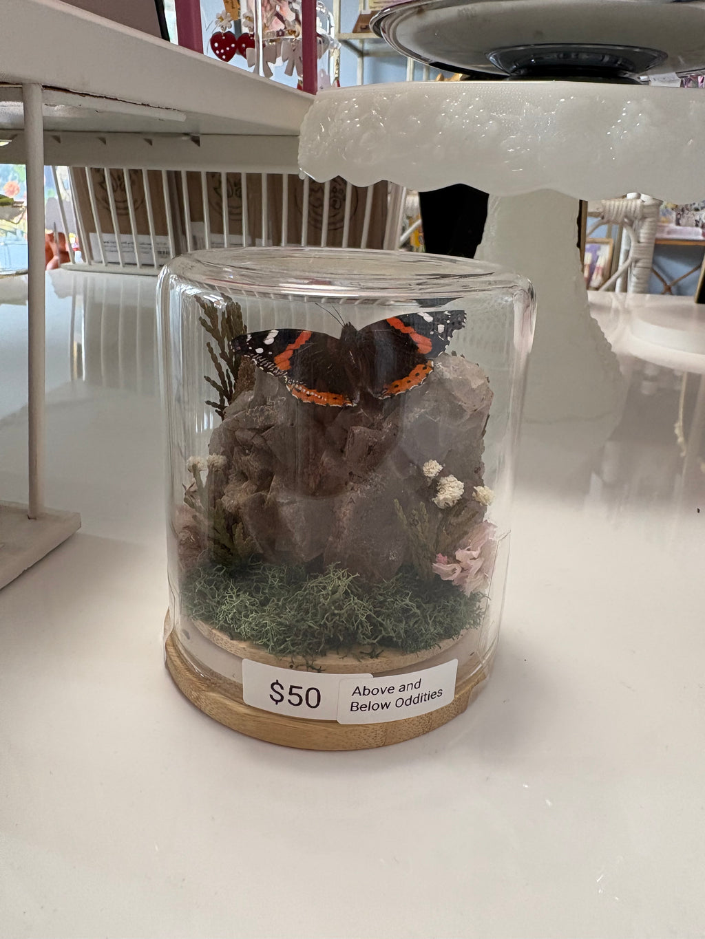 Large Rock & Butterfly Terrarium