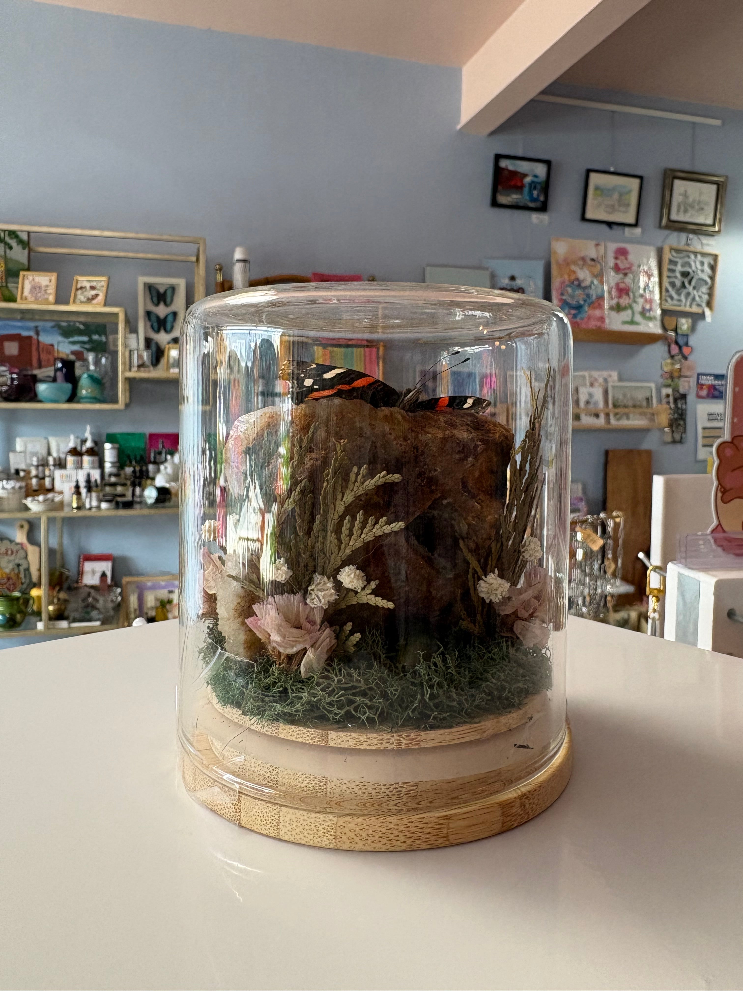 Large Rock & Butterfly Terrarium