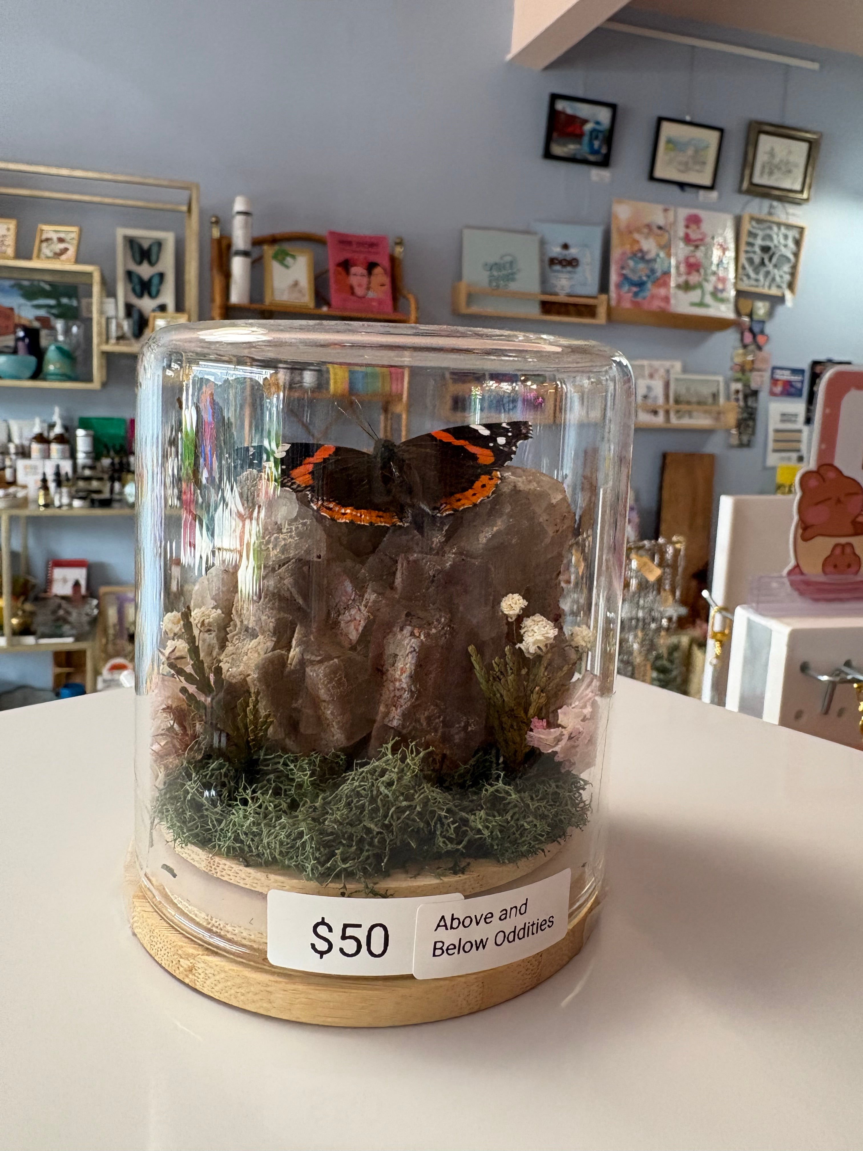 Large Rock & Butterfly Terrarium