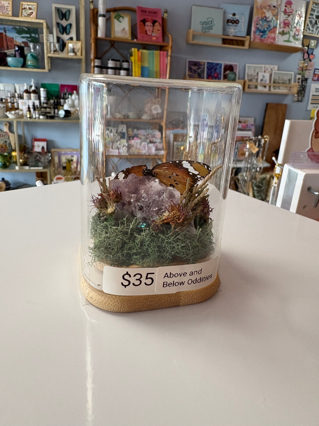 Purple Geode & Butterfly Terrarium
