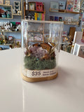 Purple Geode & Butterfly Terrarium