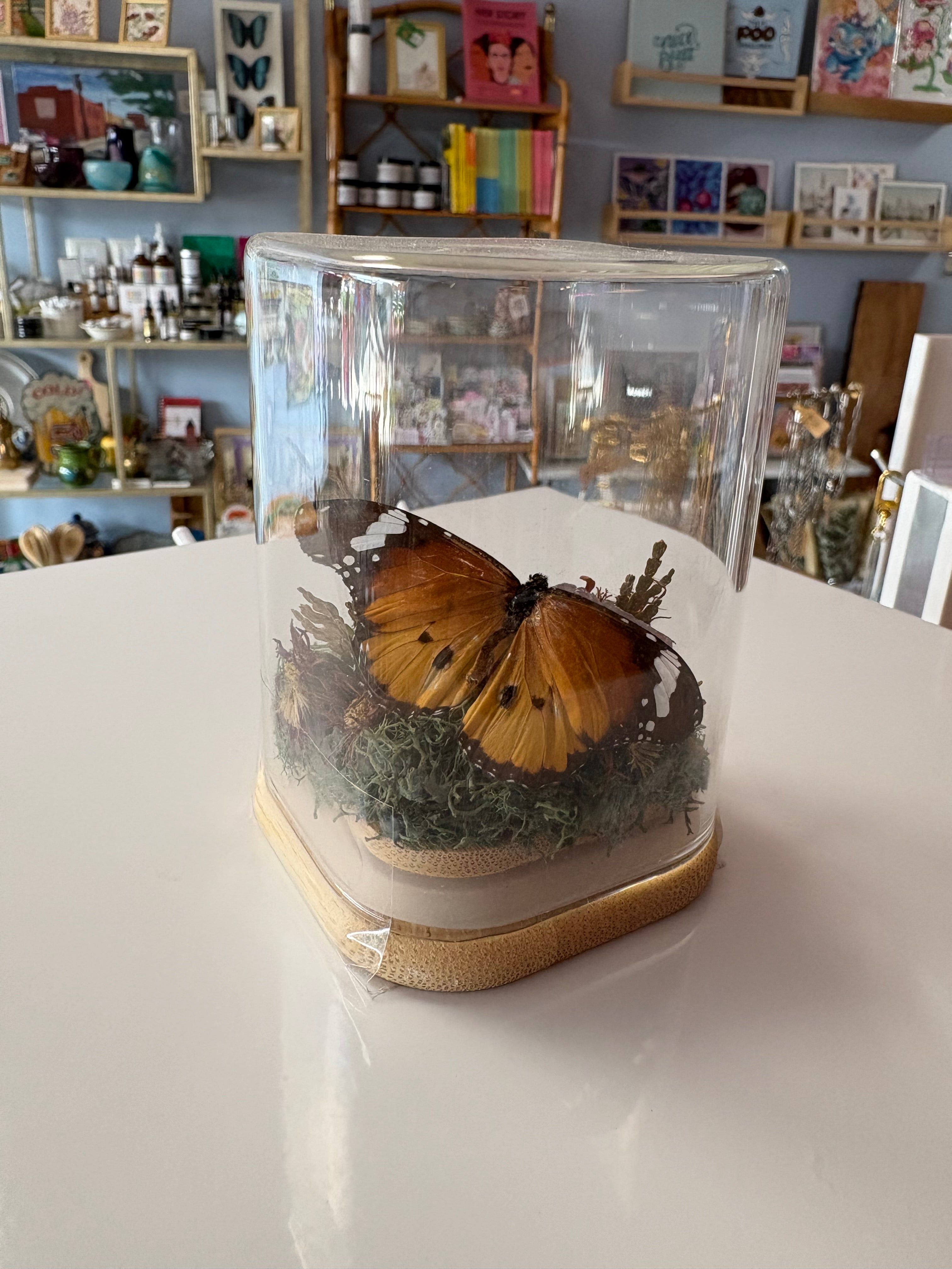 Purple Geode & Butterfly Terrarium