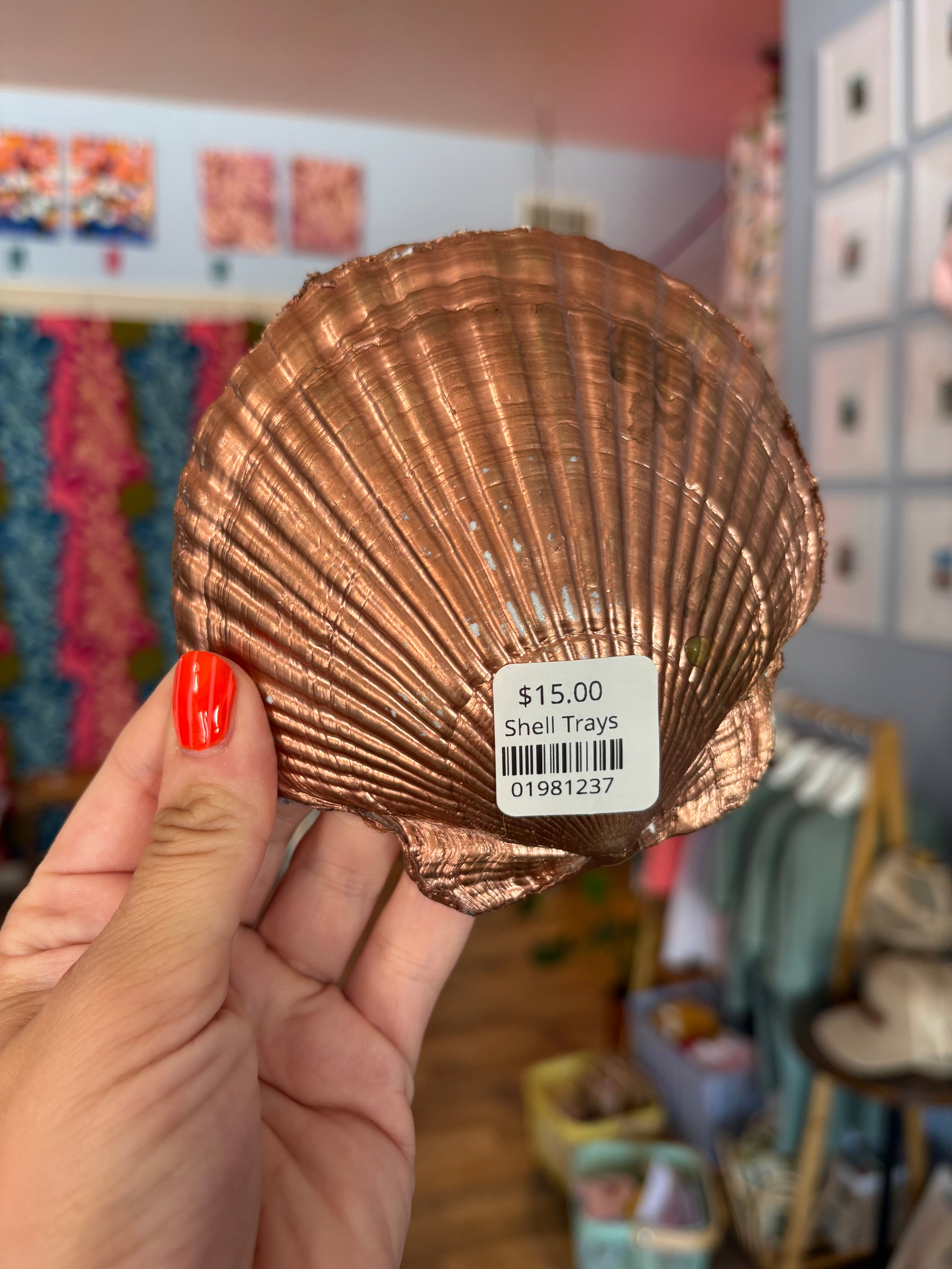 Shell Trays