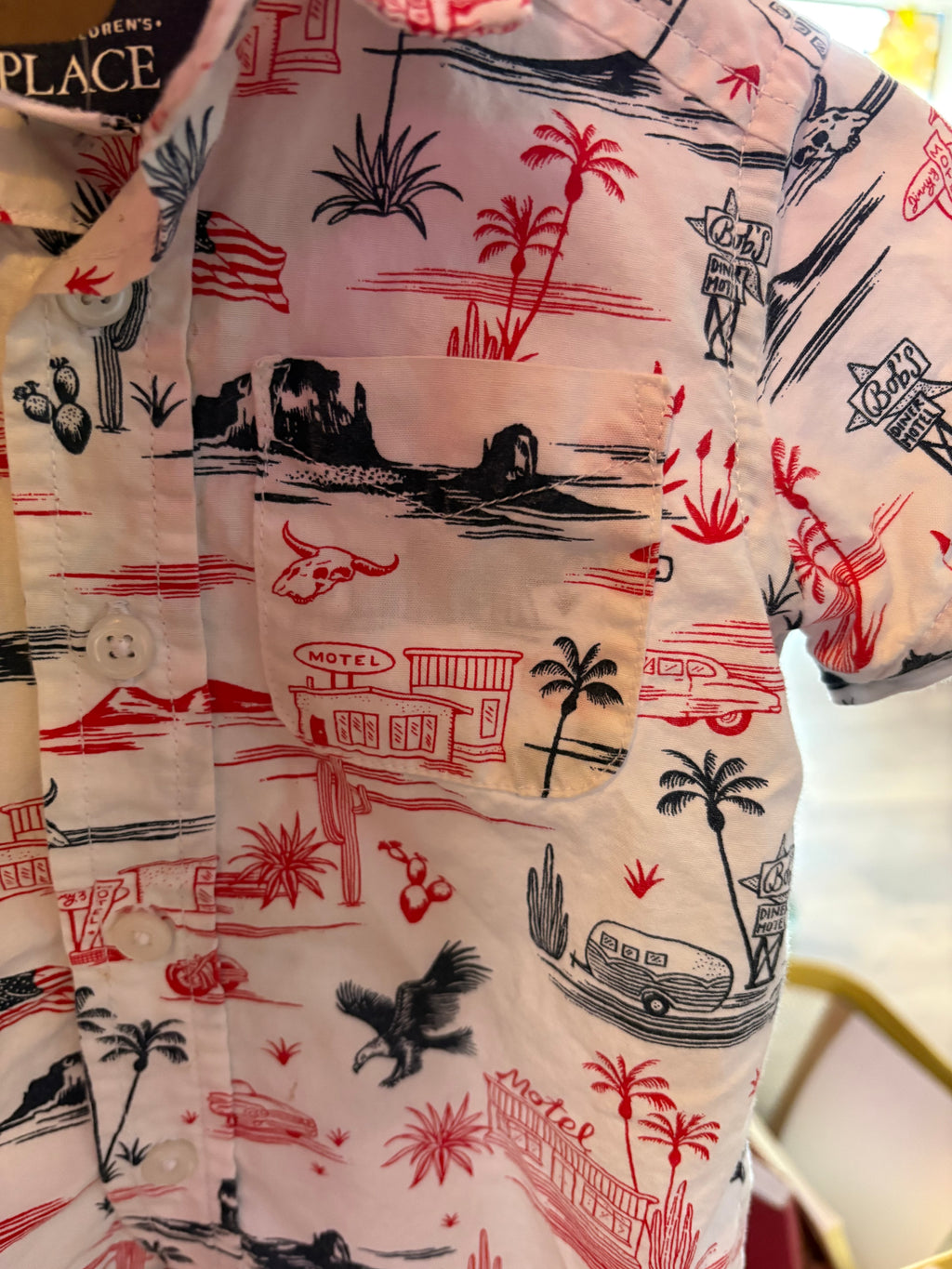 Thrifted Desert Graphic Button Down
