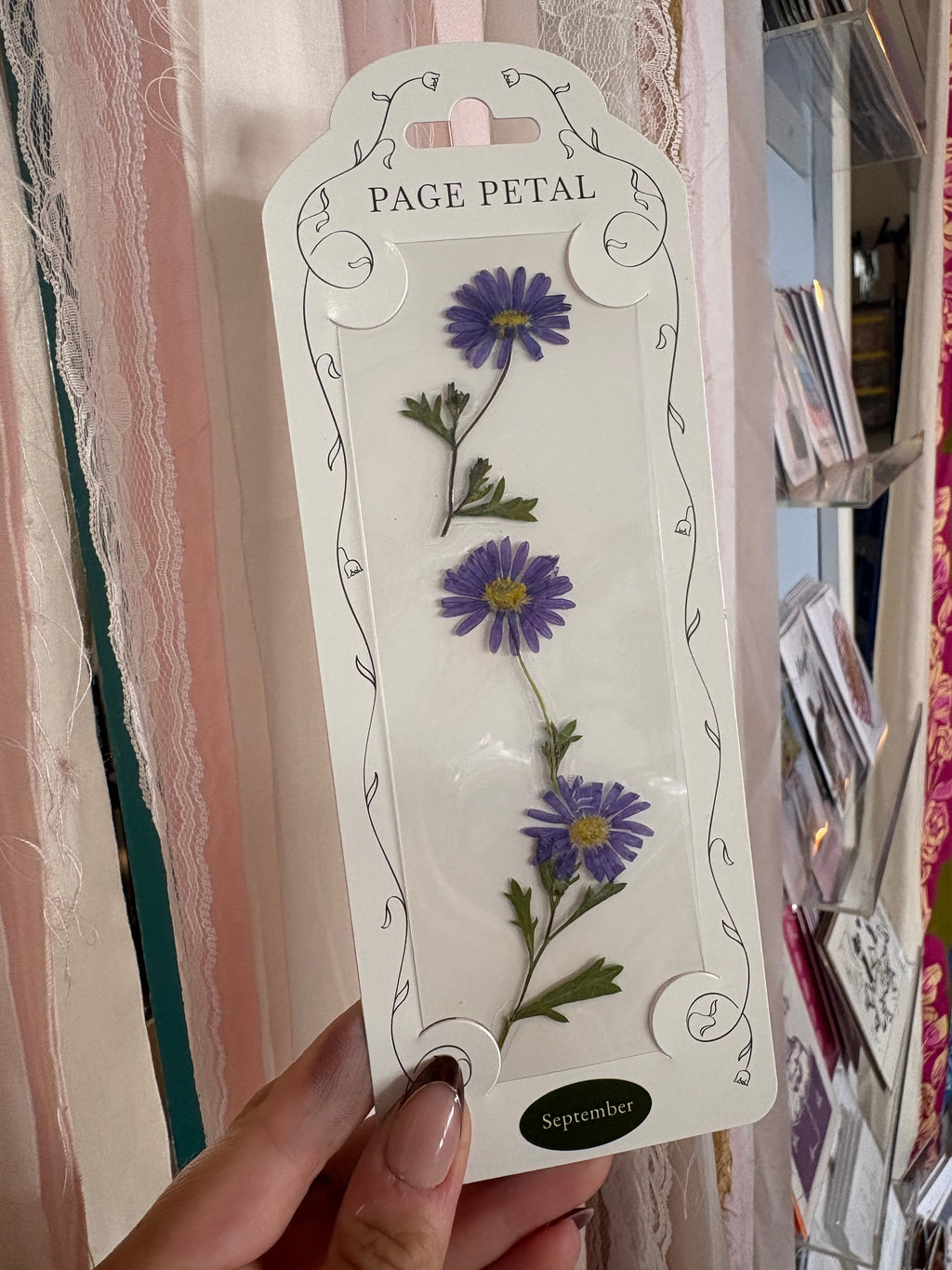 September Aster Bookmark