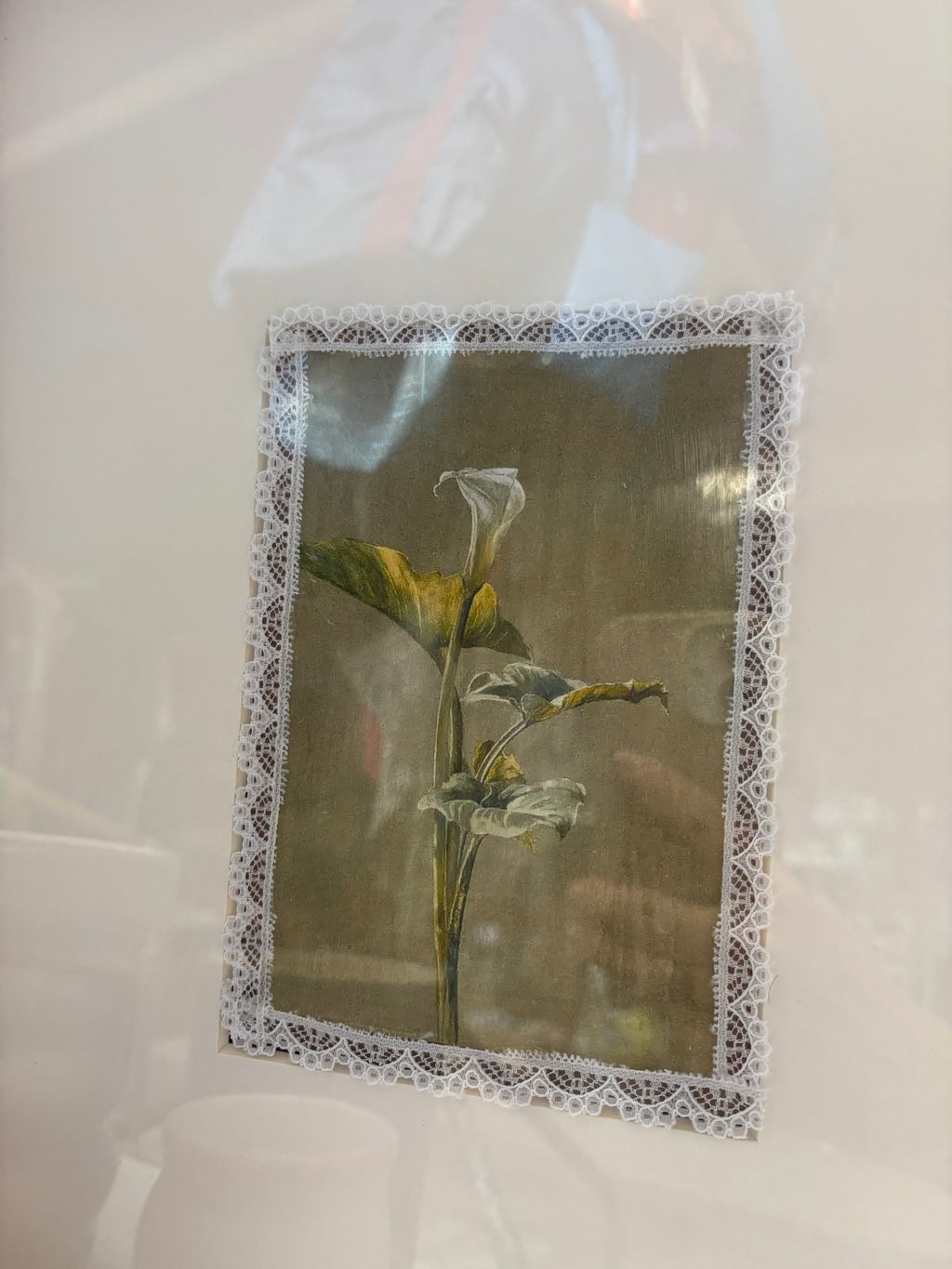 Upcycled Botanical Print - Framed