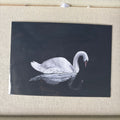 Swan Print