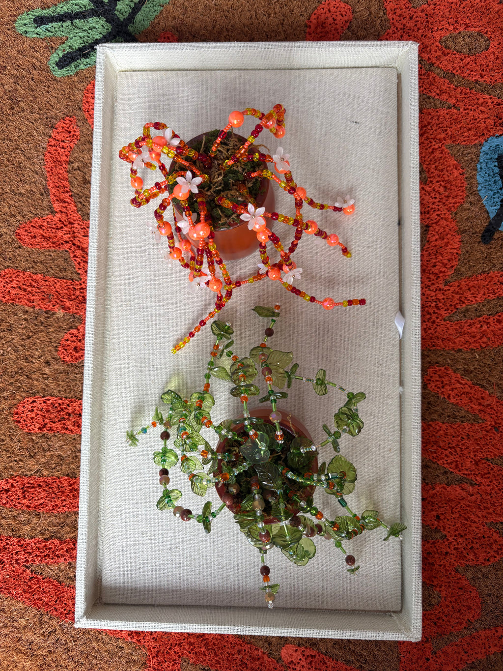 Orange Beaded Plant