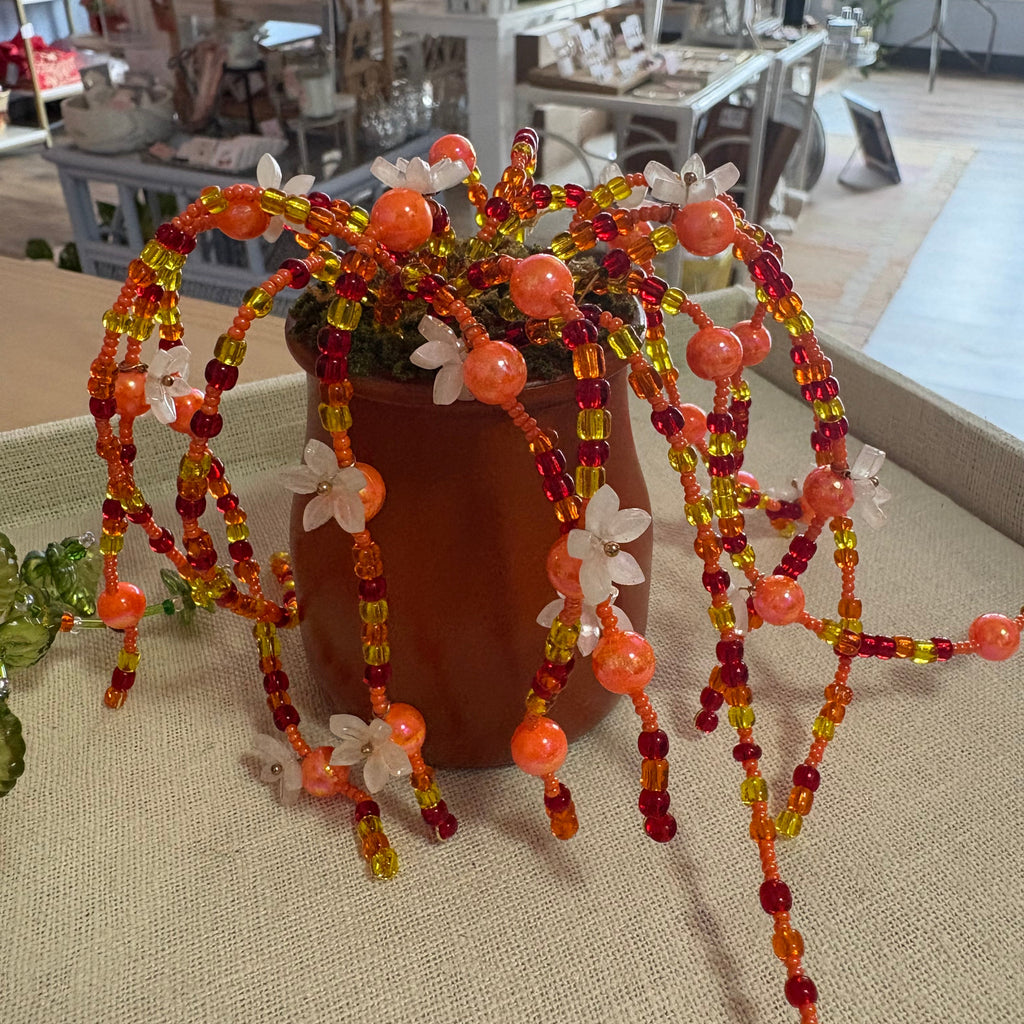 Orange Beaded Plant