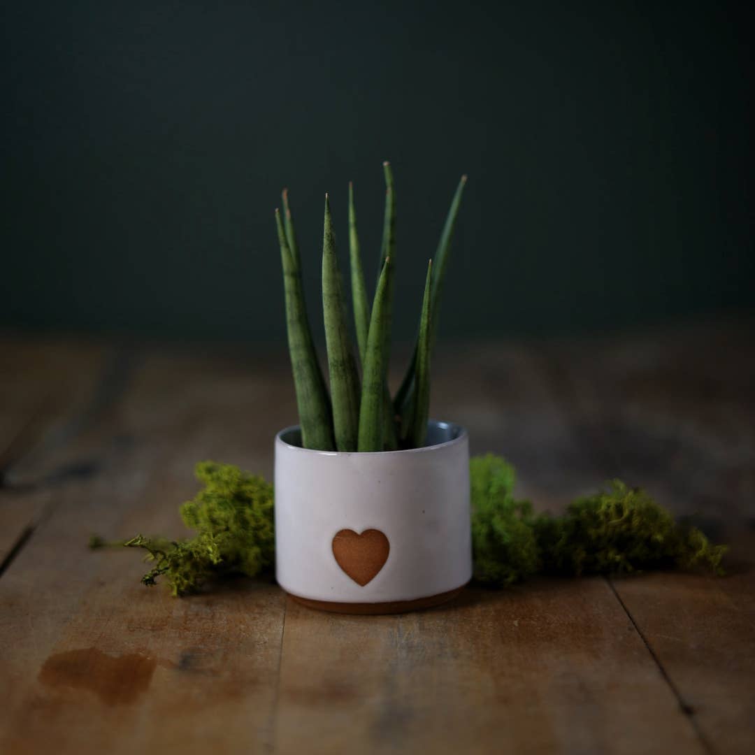 Small Minimalist Heart Planter