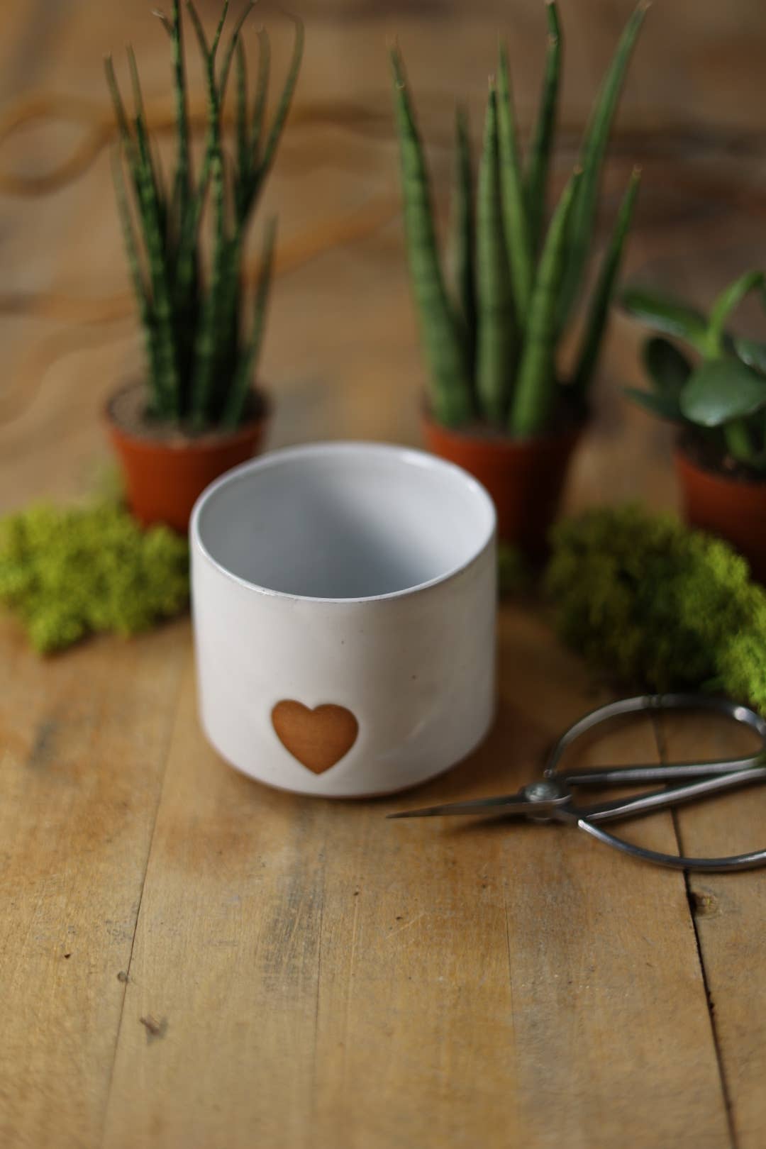 Small Minimalist Heart Planter