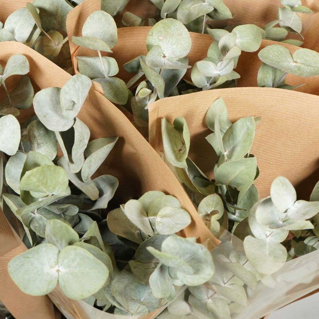 Bouquet Mono Bouquet EucalyptusDried Flowers