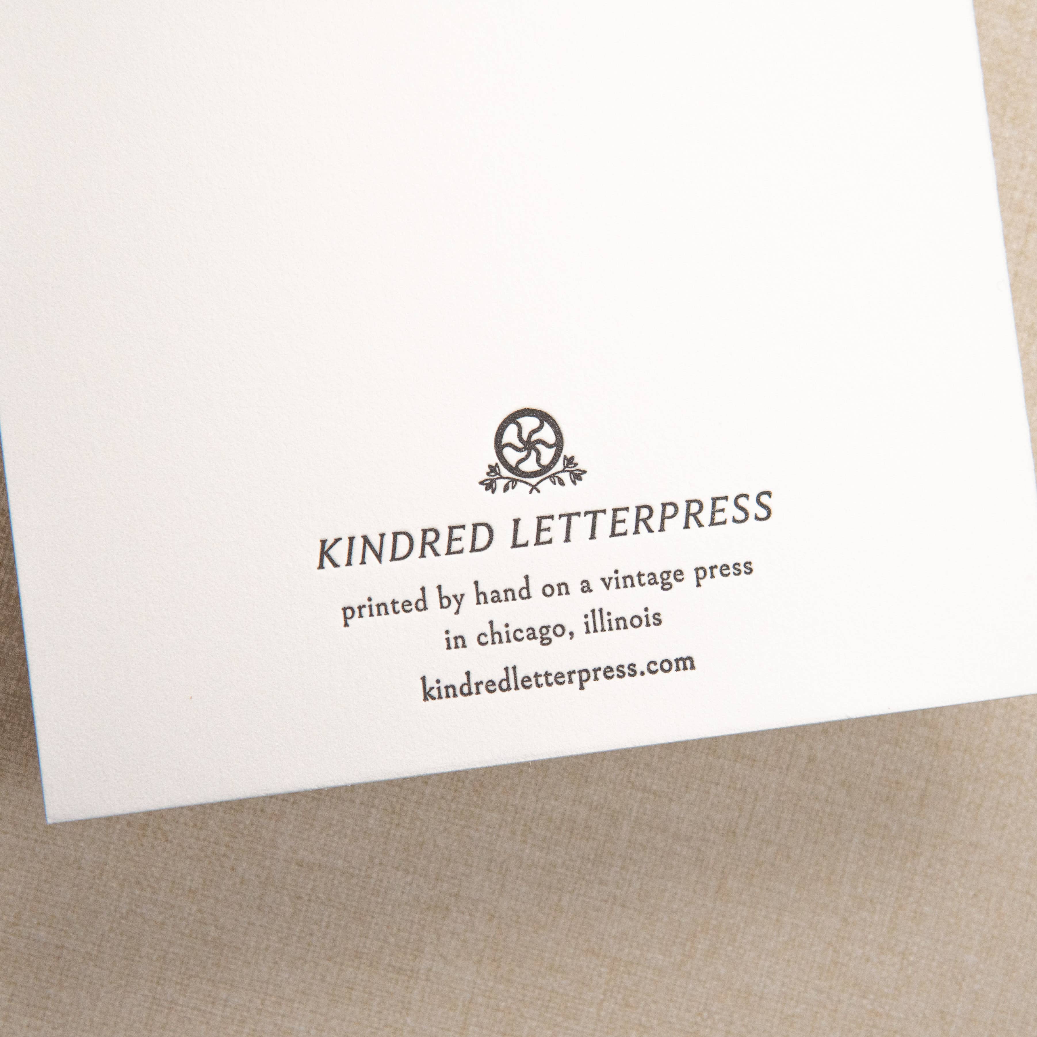 Ladybug Birthday Card | Letterpress Birthday Card