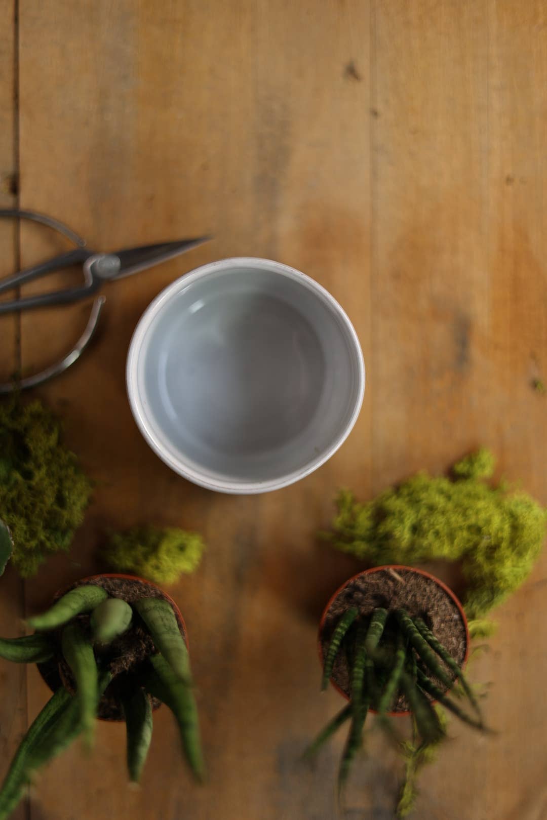 Small Minimalist Heart Planter
