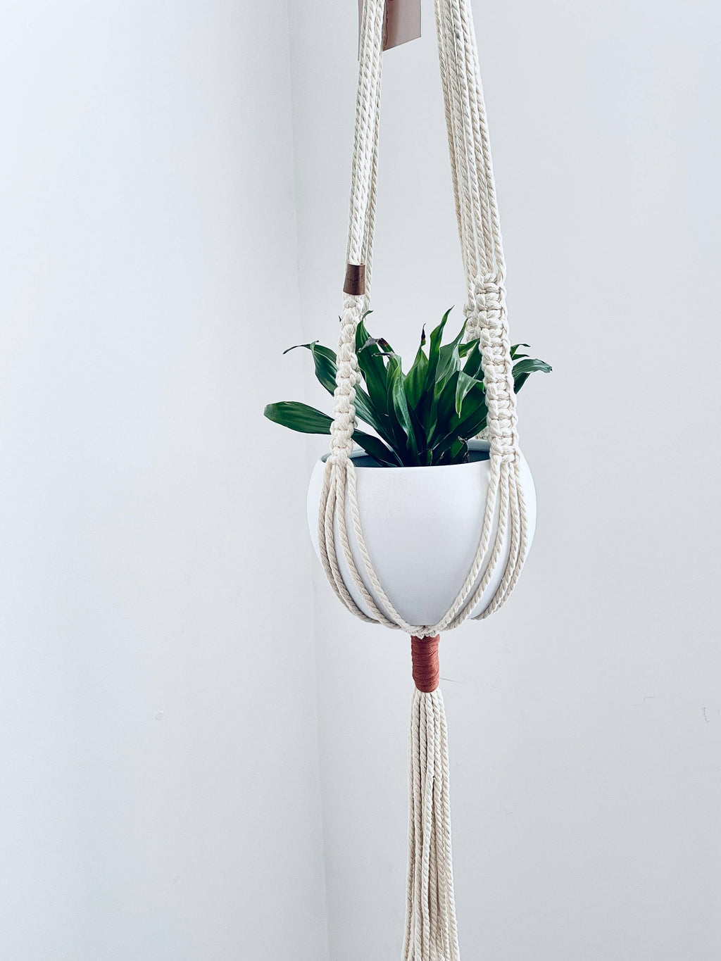 Plant Hanger // Macrame Plant Hanger // Hanging Planter