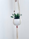Plant Hanger // Macrame Plant Hanger // Hanging Planter