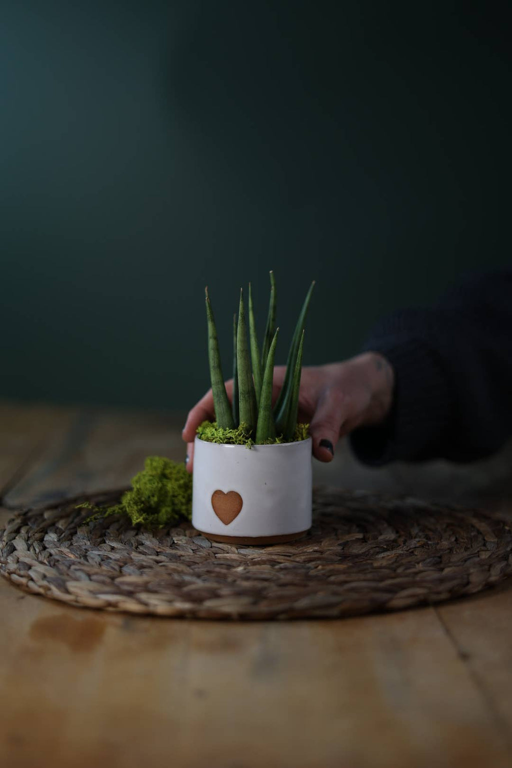 Small Minimalist Heart Planter