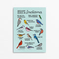 Indiana Birds 5"x7" Print