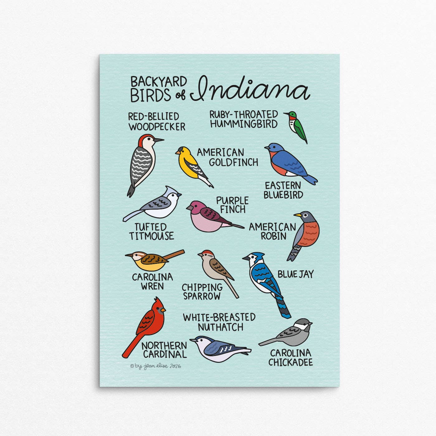 Indiana Birds 5"x7" Print