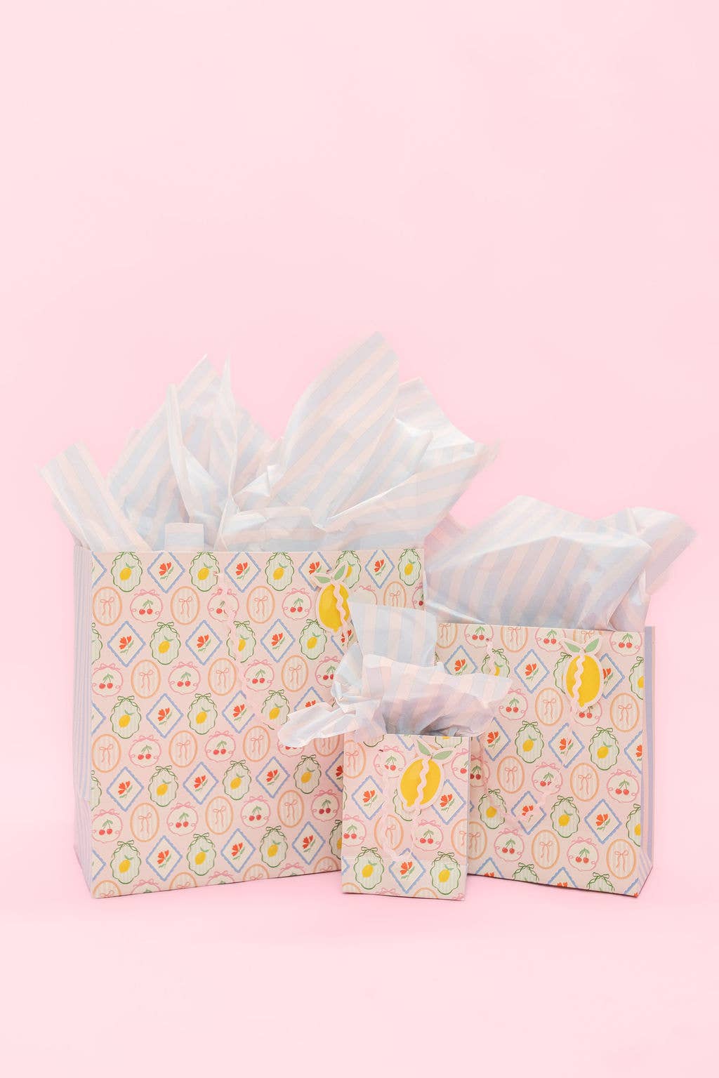 Fruit Cocktail + Stripe Gift Bag - Ric Rac Handle + Gift Tag
